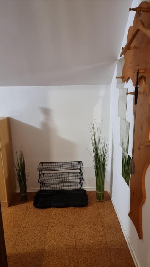 Apartma Ursic Kranjska Gora Kültér fotó